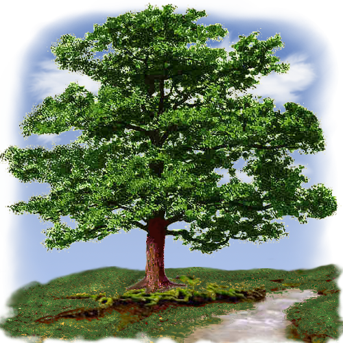 Family Tree